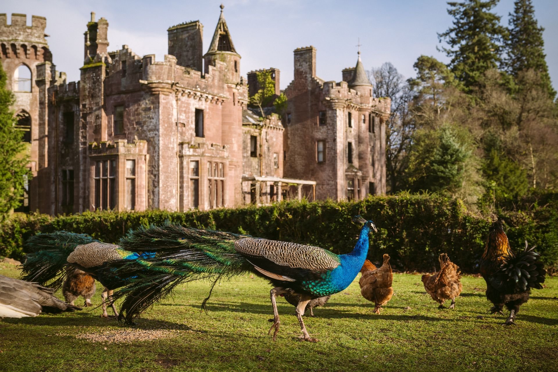 Castlebook · Culdees Castle Estate Ltd.