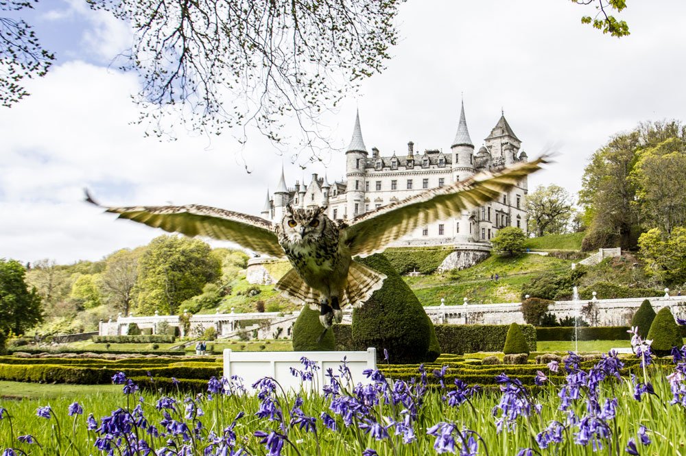 Castlebook · Dunrobin Castle