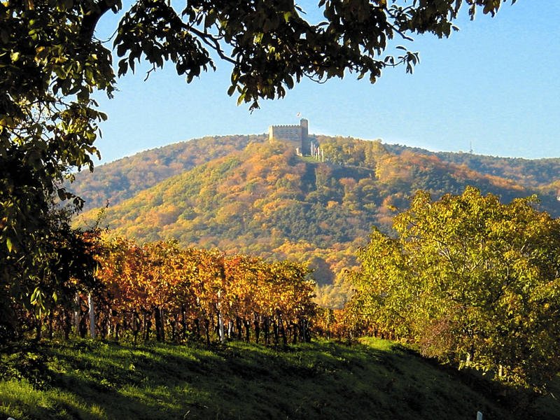 Castlebook · Hambach Castle