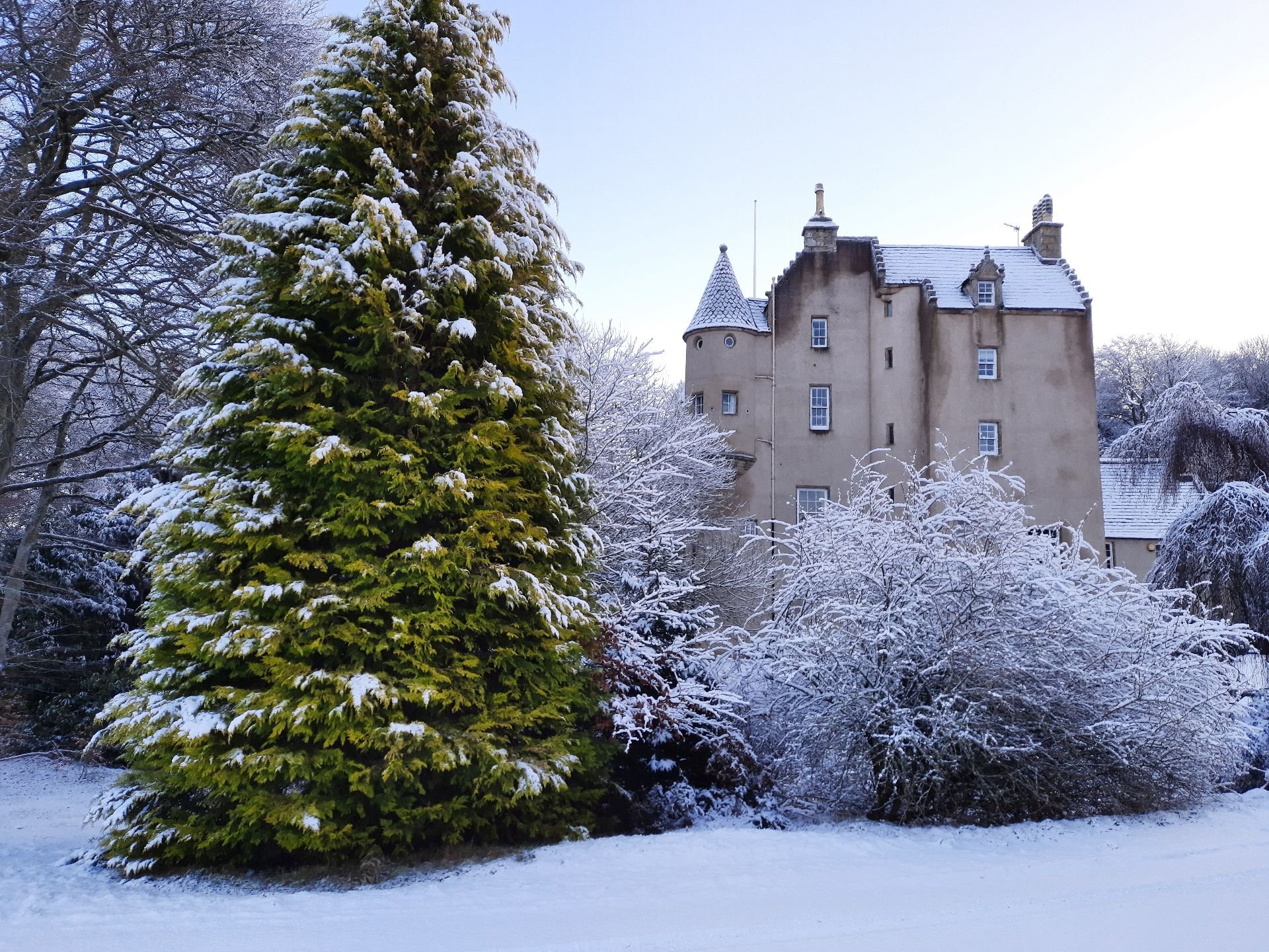 Castlebook · Lickleyhead Castle