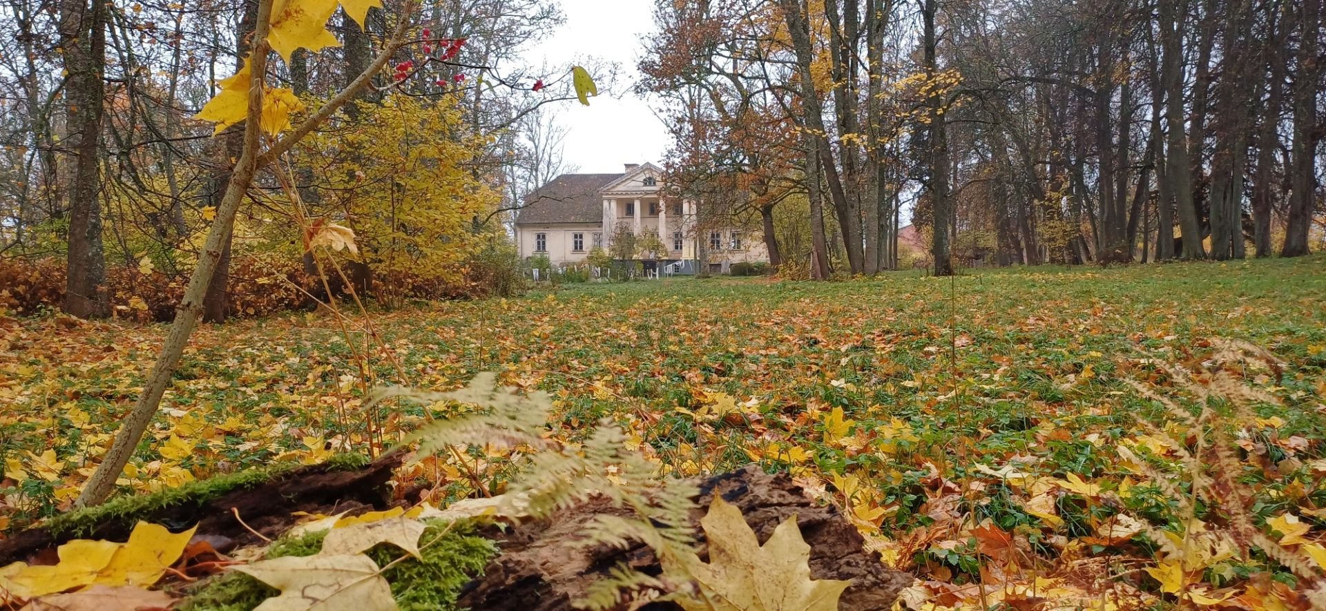 Castlebook · Padure manor