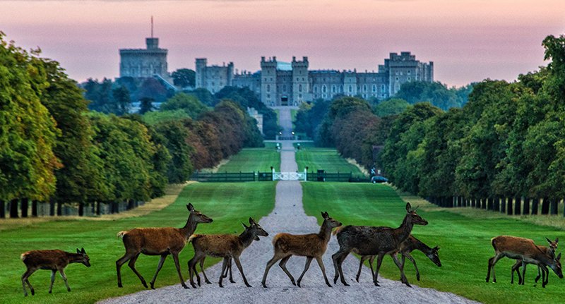 Castlebook · Windsor Castle